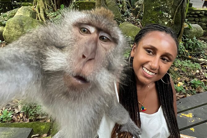 Best of Ubud : Elephant Cave Temple, Monkey Forest, Rice Terrace - Monkey Forest Adventure