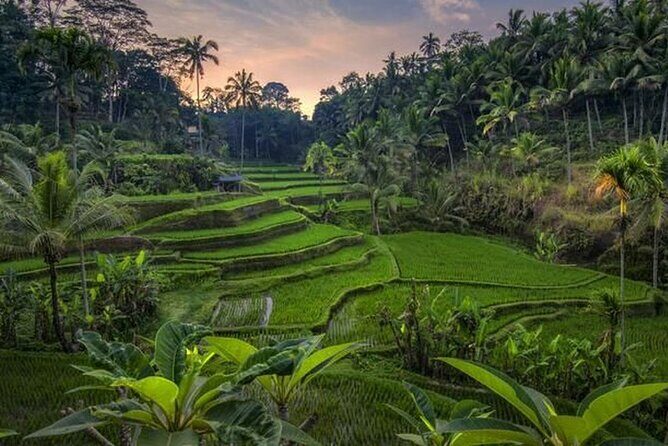 Best of Ubud Full Day Private Tour - Good To Know