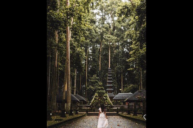 Best of Ubud: Jungle, Temples & Swing - Why Travelers Love This Tour