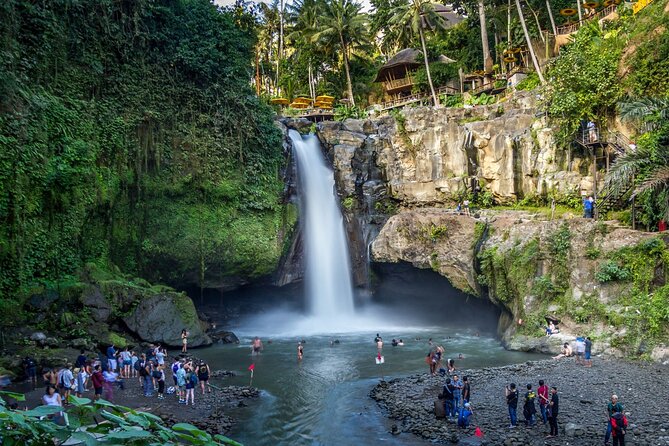 Best of Ubud: Monkey Forest, Temple, Waterfall, Rice Terrace & Art Villages - Monkey Forest: Encounter Ubuds Playful Primates