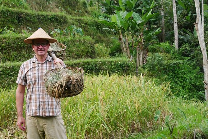 BEST OF UBUD: Monkey Forest, Waterfall, Temple, Rice Terrace, Art - Majestic Waterfall Discoveries