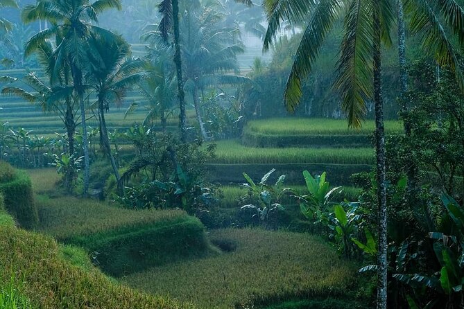 Best of Ubud: Private All-Inclusive Tour With Jungle Swing - Tour Highlights