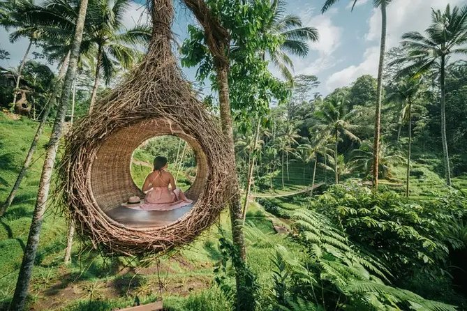 Best of Ubud: Private All-Inclusive Tour With Jungle Swing - Meeting and Pickup