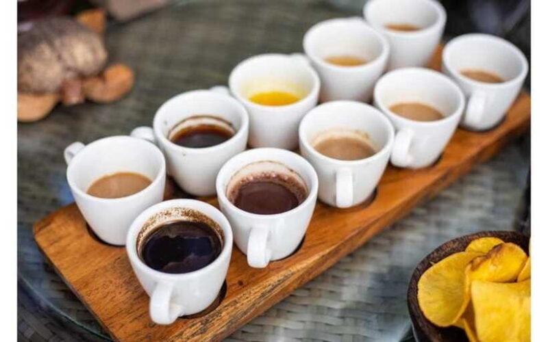 Best of Ubud - Private Guided Full-Day Tour, Ubud, Bali - Final Thoughts