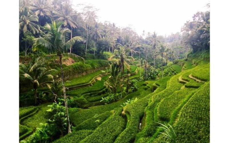 Best of Ubud - Private Guided Full-Day Tour, Ubud, Bali - FAQs