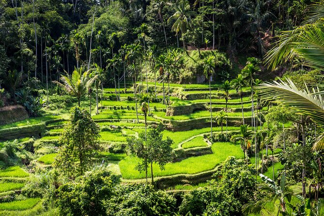 Best of Ubud - Private Guided Full-Day Tour, Ubud, Bali - Explore Ubuds Cultural Attractions
