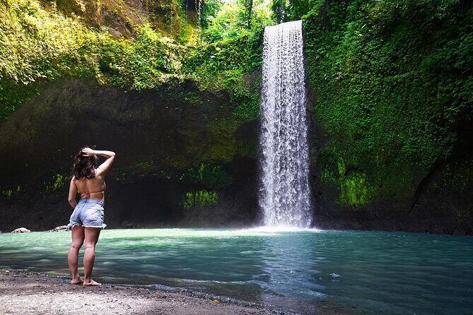 Best of Ubud Private Tour: Rice Terrace, Temple & Waterfall - Exploring the Itinerary: What to Expect
