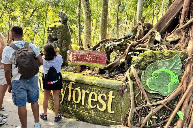 Best of Ubud Private Tour: Rice Terrace, Temple & Waterfall - Who Is This Tour Best Suited For?