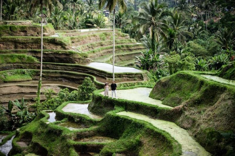 Best Of Ubud Purification Rice Terrace and Waterfall - Good To Know