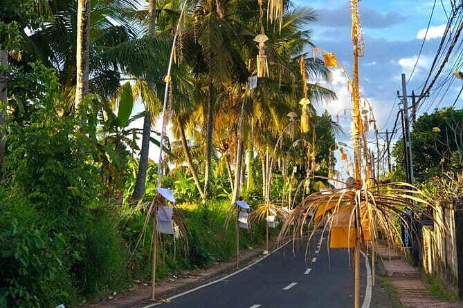 Best Of Ubud Scenic Full Day Private Guided Tour - The Details That Make This Tour Special