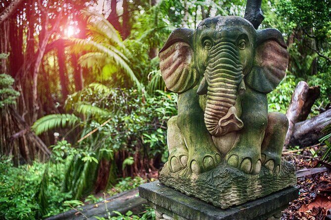 Best of Ubud Sightseeing Private All Inclusive Tour - Who Would Love This Tour?