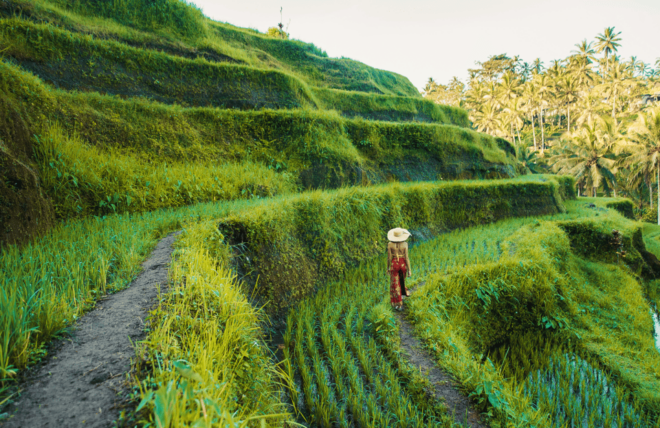 Best of Ubud: Temple, Waterfall, and Rice Terrace Adventure - Tegenungan Waterfall Experience