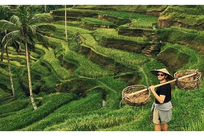 Best of Ubud Tour Package ( Private Tour) - Tour Highlights