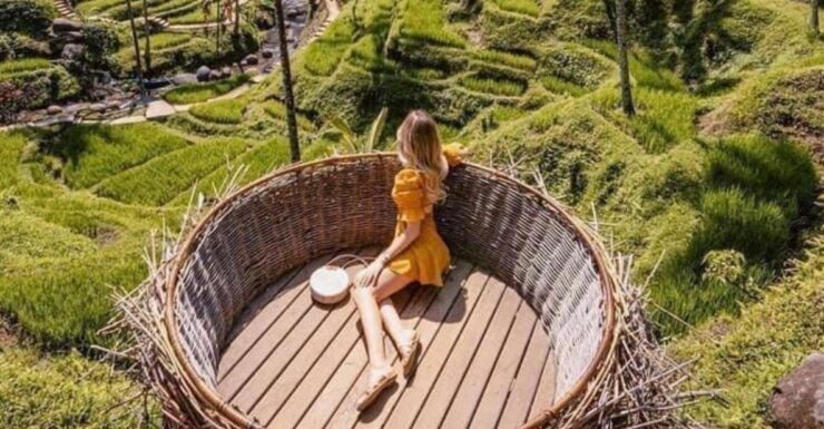 Best of Ubud Tour Rice Terrace Waterfalls & Jungle Swing - Activity Details