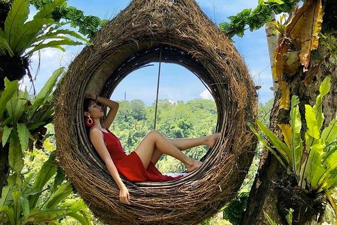 Best of Ubud Tour With Jungle Swing - Itinerary Overview