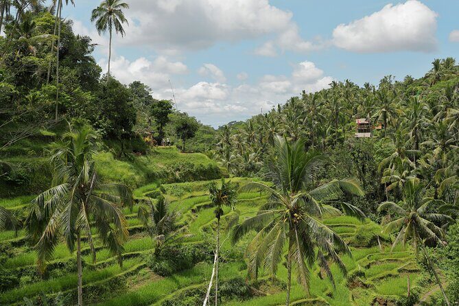 Best of Ubud Tour with Jungle Swing - All Inclusive - Who Is This Tour Best For?