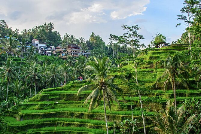 Best of Ubud Tours With Jungle Swing ( All Inclusive ) - Pricing and Booking Details