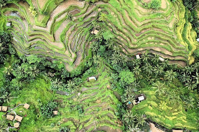 Best of Ubud Village Tour With Jungle Swing - Most Instagram Site - Additional Information and Restrictions