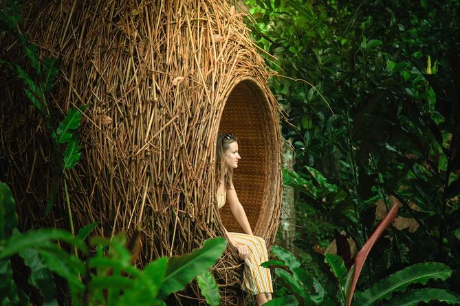 Best of Ubud: Waterfall, Rice Terraces & Monkey Forest - Sacred Monkey Forest Sanctuary Experience