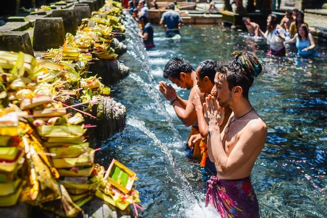 Best of Ubud: Waterfall, Rice Terraces & Monkey Forest - Discovering Puri Saren Palace