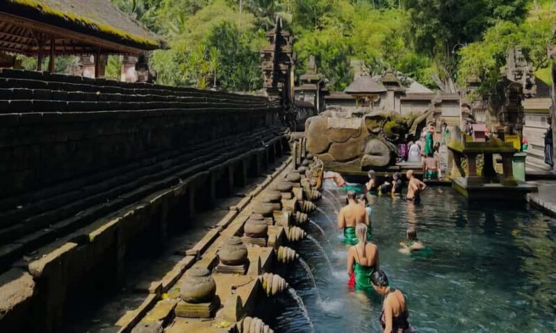 Best of Ubud: Waterfall, Temple & Rice Terrace - An In-Depth Look at the Best of Ubud Tour