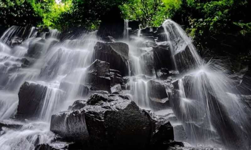 Best of Ubud: Waterfall, Temple & Rice Terrace - Good To Know