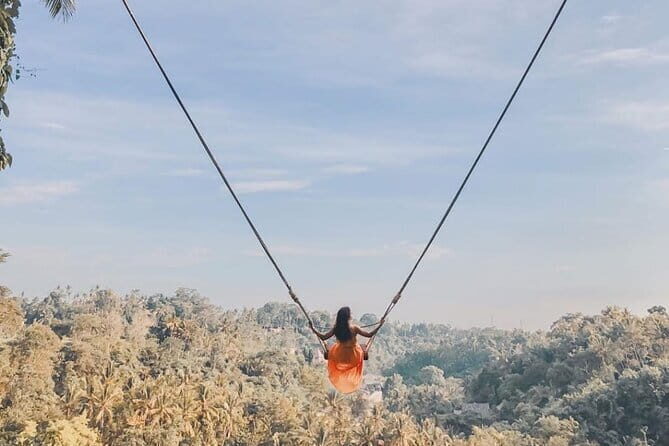 Best Of Ubud Waterfalls, Rice Terrace and Jungle Swing Tour - Exploring the Waterfalls