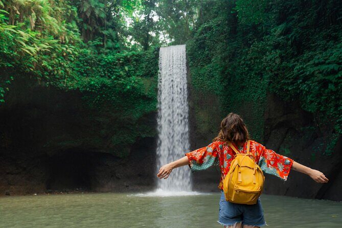 Best of Ubud: Waterfalls, Temple & Rice Terraces Private Day Tour - An In-Depth Look at the Ubud Waterfalls, Temples & Rice Terraces Tour