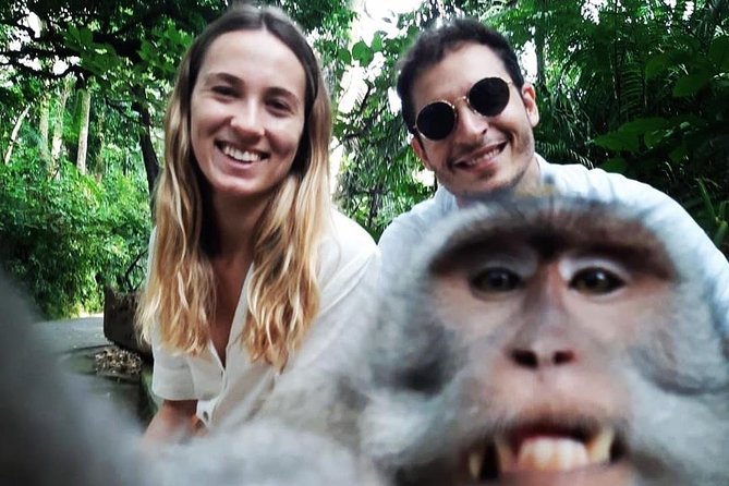 Best of Ubud With Jungle Swing - Reviews Breakdown and Analysis