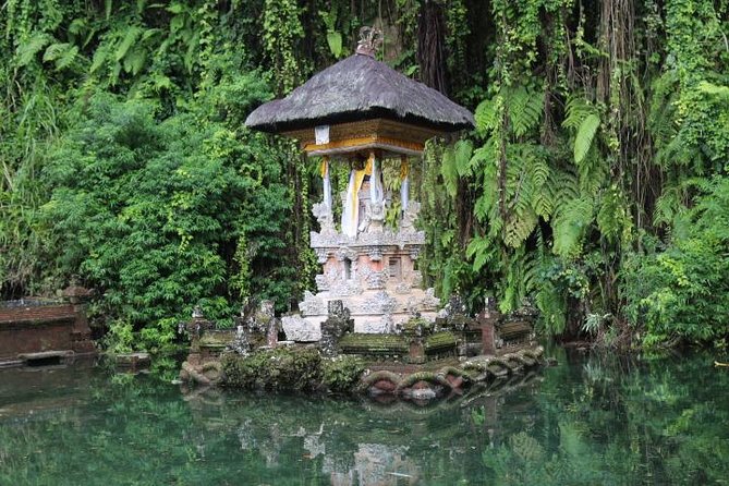 Best of Ubud With Jungle Swing Experience - Top Attractions in Ubud