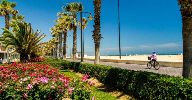 Best of Valencia: Highlights With Private Transport and Top - Experience Valencias Iconic Landmarks