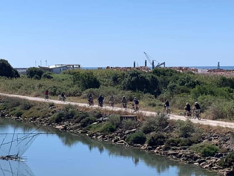Best of Vilamoura - Guided Bike Tour (3h) - Practical Details and Logistics