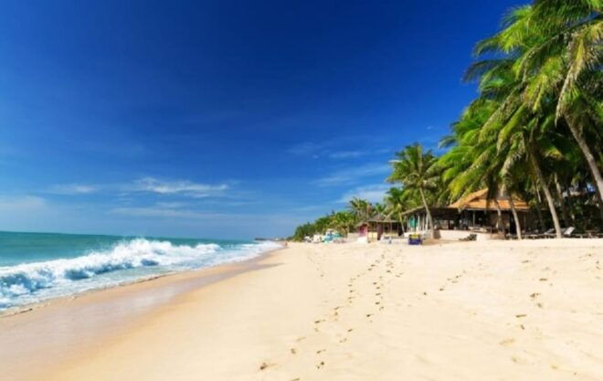 Best of Vung Tau Beach Private Car From Phu My Port - Important Travel Information