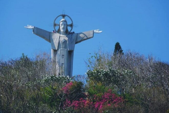 Best of Vung Tau Private Tour From Phu My Port - Booking Process