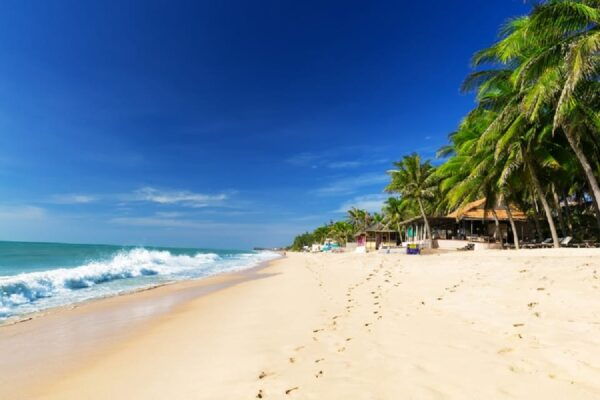 Best of Vung Tau Private Tour From Phu My Port - Local Cuisine Experience