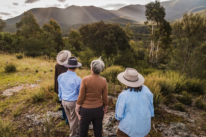 Best of Wildlife and Birds Tour - Expert Guides
