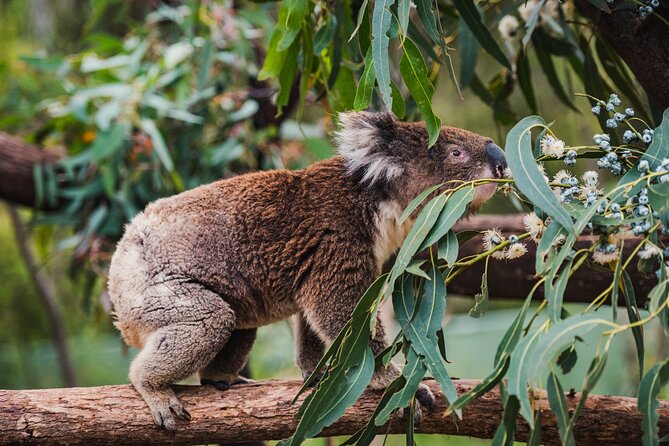 Best of Wildlife and Birds Tour - Tour Itinerary