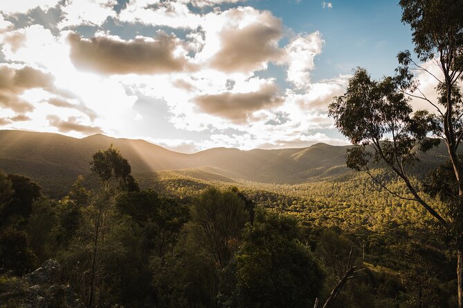 Best of Wildlife and Birds Tour - The Sum Up