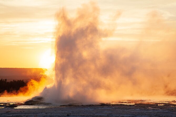 Best of Yellowstone Natl Park Tour From Paradise Valley - Tour Details