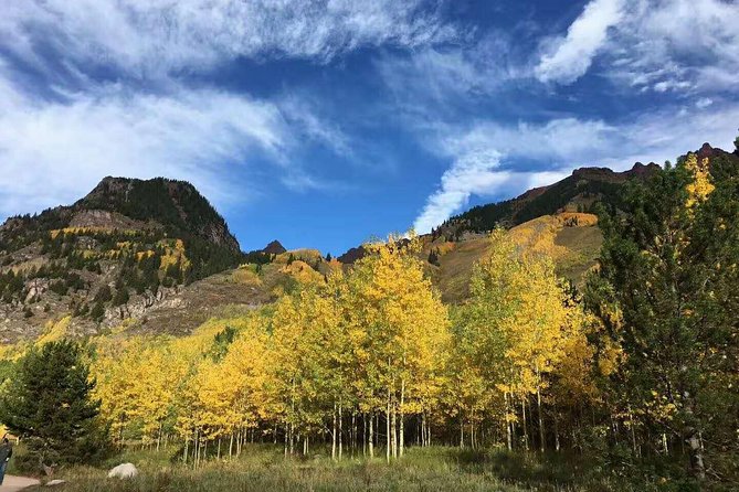 BEST Olympic National Park Day Tour From Seattle - Tour Guide Experience and Language Barrier