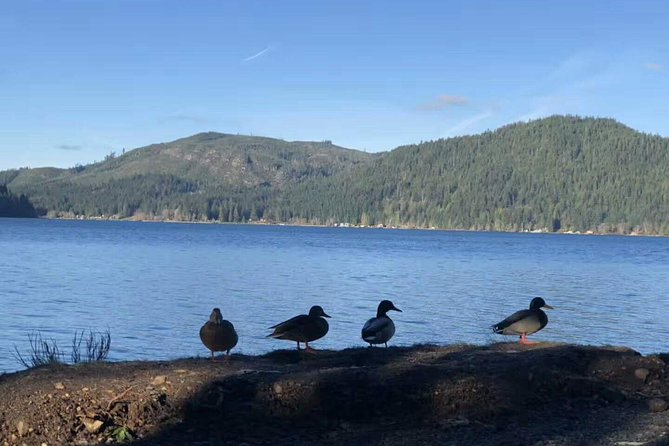 BEST Olympic National Park Day Tour From Seattle - Common Questions