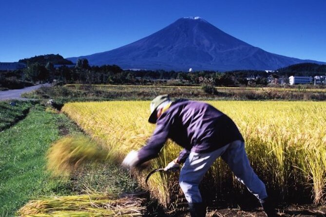 Best Price for 2-6 People! Mt Fuji & Natural Water Private Tour - Pickup and Transportation
