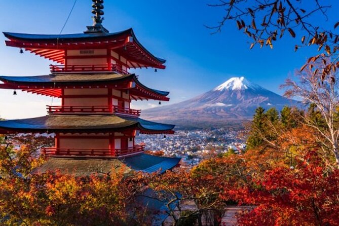 Best Price for 2-6 People! Mt Fuji & Natural Water Private Tour - Booking and Cancellation Policy