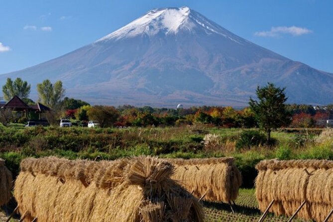 Best Price for 2-6 People! Mt Fuji & Natural Water Private Tour - The Sum Up
