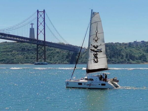 Best Price on Board Catamaran, Sunset, Music, Drinks - Booking and Cancellation Policy