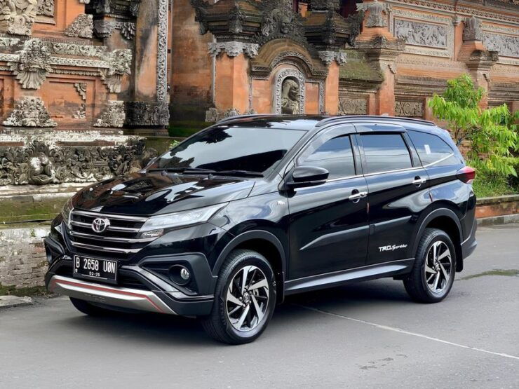 Best Private Chartered Car With Driver in Bali - Driver Information
