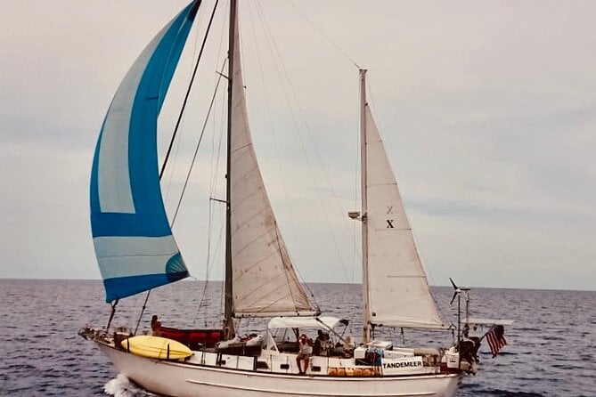 Best Private Luxury 4 Hour Sailing/Snorkeltour From Cruz Bay - Itinerary Highlights