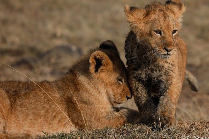 Best Recommendable Budget - Final Tips for Booking