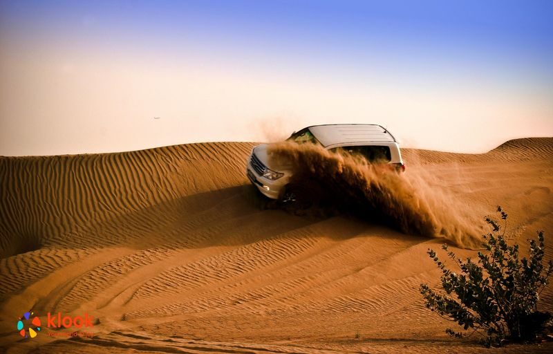 Best Red Dune Deluxe Desert Safari in Dubai - Who should book this safari