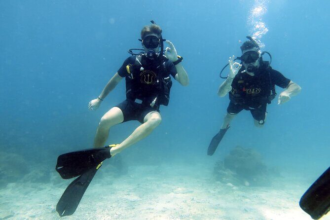 Best Scuba Diving Koh Tao Top Sites from Koh Samui - The Itinerary in Detail